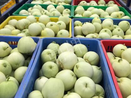 蔬菜種子種植戶客戶點評-5元1斤，這個新品種真香甜！
