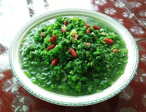菜農種植無需噴農藥的蔬菜，不僅栽培簡單、而且效益高