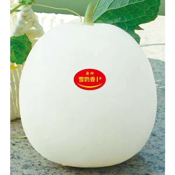 薄皮甜瓜，哪個品種最好呢？畝產(chǎn)高達(dá)10萬，附4種市場爆款品種