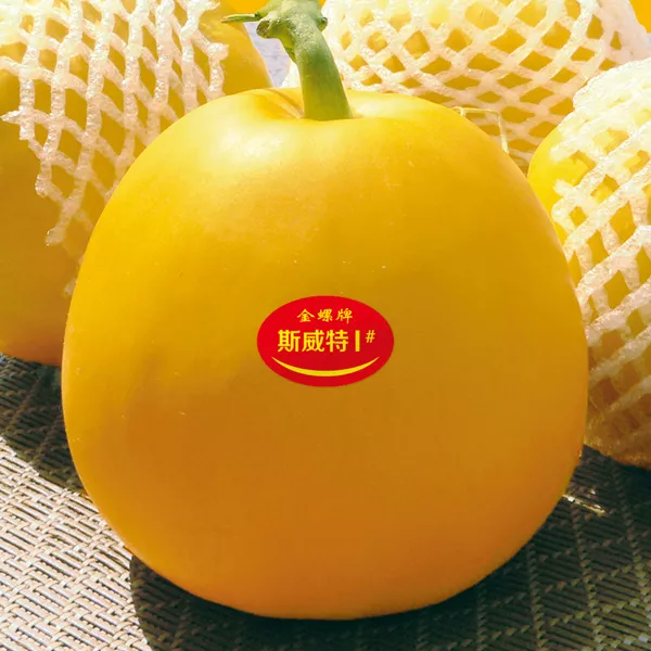 薄皮甜瓜，哪個品種最好呢？畝產(chǎn)高達(dá)10萬，附4種市場爆款品種