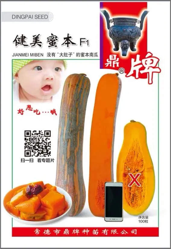 3元1斤的健美蜜本南瓜快成熟了，緬甸種植戶發(fā)來圖片與視頻