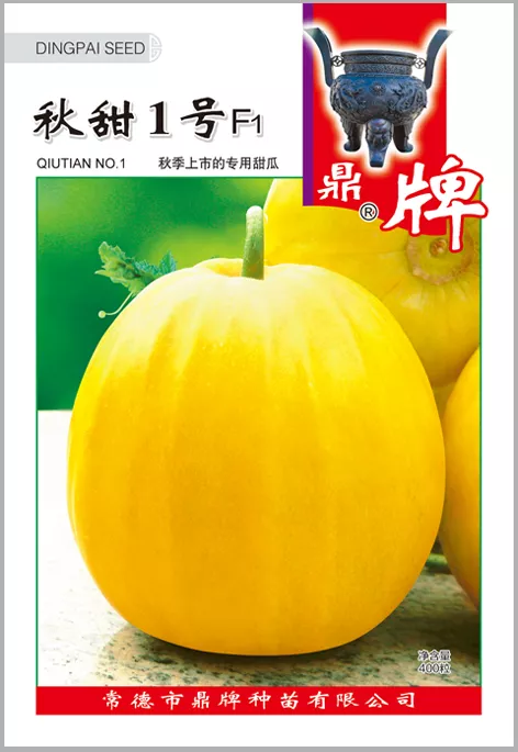 高溫季節(jié)種植甜瓜，什么品種最好？這個品種是秋季上市的專用品種