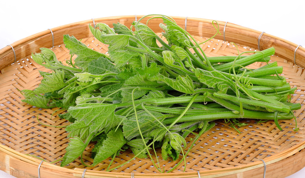 種這種綠葉菜，栽培輕松，畝產(chǎn)值過萬元，菜農(nóng)表示很劃算
