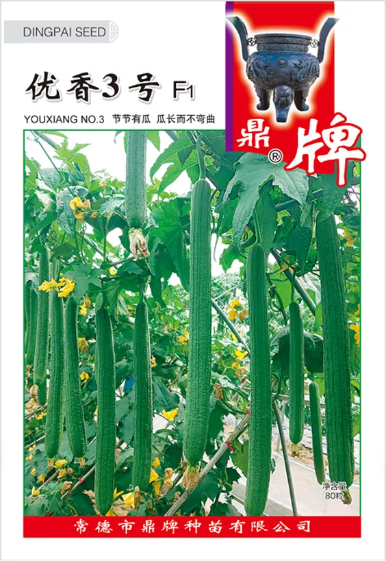 它是絲瓜種植戶的新選擇，節(jié)節(jié)有瓜，瓜長而不彎曲