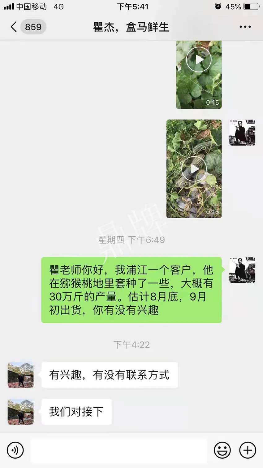 四川農(nóng)戶今年種“健美蜜本”南瓜產(chǎn)量高，品質(zhì)好，感覺巴適得很